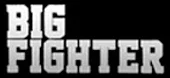 Big Fighter